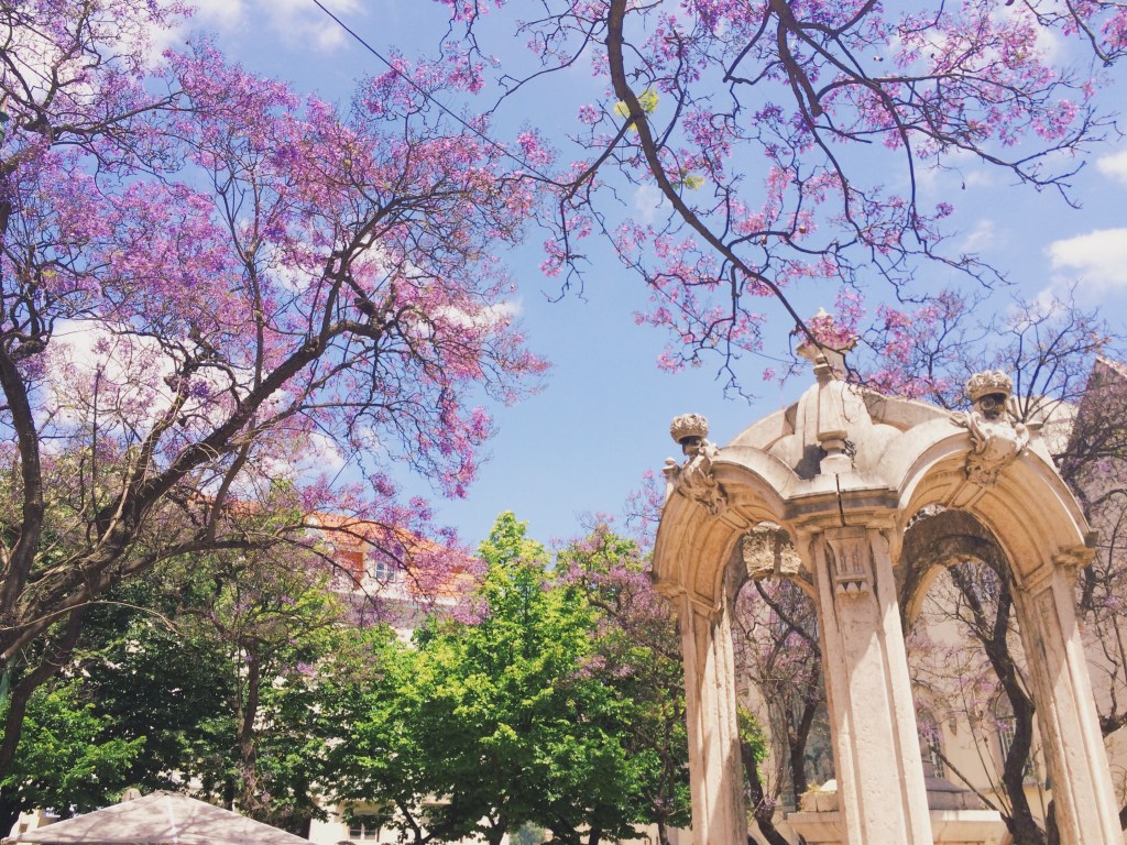 lisbon-floral