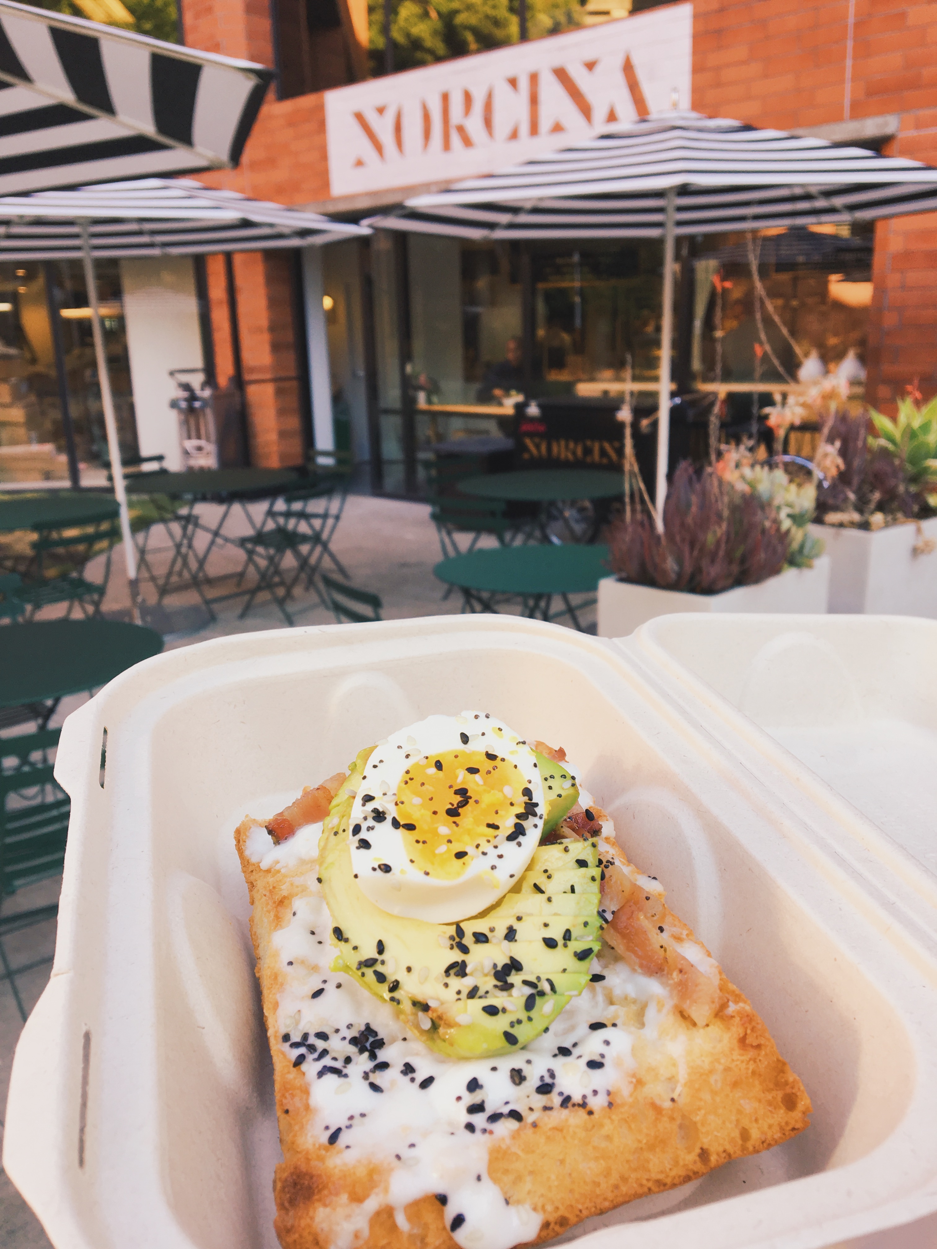 norcina-bakery-san-francisco-avocado-toast-egg-bacon-burrata